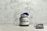NIKE SB DUNK LOW ON THE BRIGHT SIDE PHOTON DUST/WOLF GREY/SAIL DQ5076-001