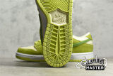 NIKE DUNK LOW PRO SB FRUITY PACK GREEN APPLE ATOMIC GREEN/CHLOROPHYLL DM0807-300