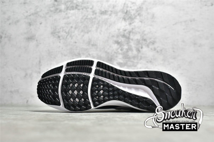 NIKE AIR ZOOM PEGASUS 39 BLACK/DARK SMOKE GREY/WHITE DH4071-001
