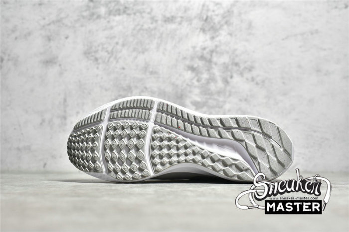 NIKE AIR ZOOM PEGASUS 39 WHITE/PURE PLATINUM/GREY FOG/METALLIC SILVER DH4072-100