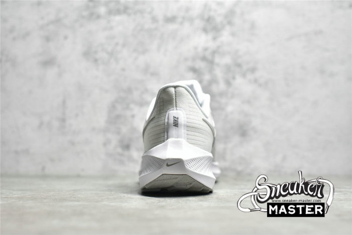 NIKE AIR ZOOM PEGASUS 39 WHITE/PURE PLATINUM/GREY FOG/METALLIC SILVER DH4072-100