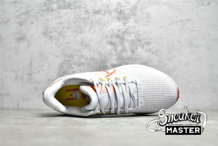 NIKE AIR ZOOM PEGASUS 39 IRIS WHISPER/SUMMIT WHITE/LIGHT MADDER ROOT DH4072-501