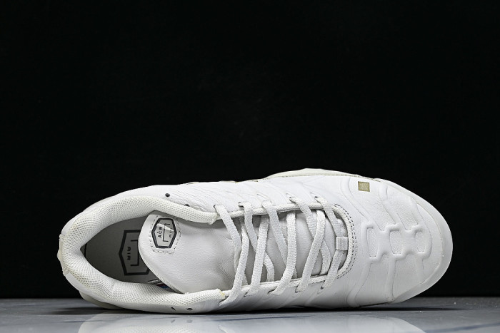 FD7855-002 AIR MAX PLUS PLATINUM TINT/LIGHT BONE/BLACK/STONE/LIGHT OREWOOD BROWN/WHITE