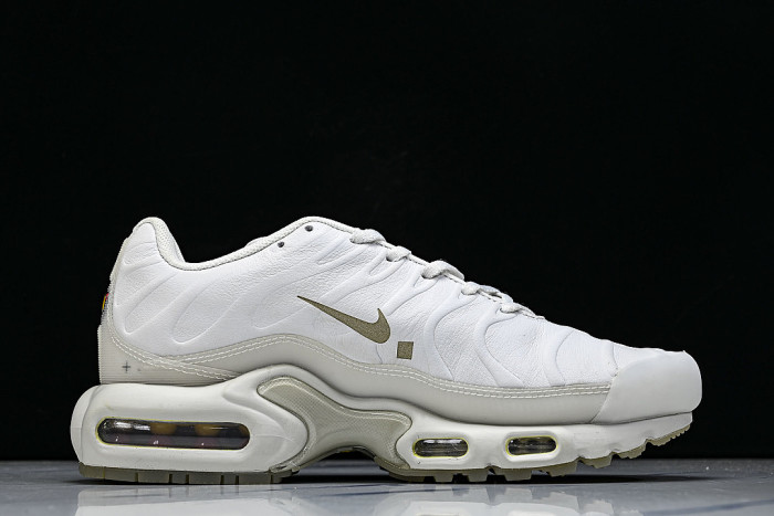 FD7855-002 AIR MAX PLUS PLATINUM TINT/LIGHT BONE/BLACK/STONE/LIGHT OREWOOD BROWN/WHITE