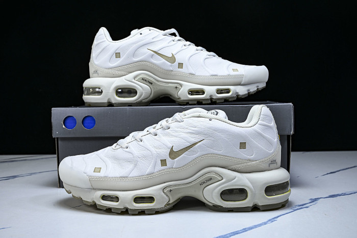 FD7855-002 AIR MAX PLUS PLATINUM TINT/LIGHT BONE/BLACK/STONE/LIGHT OREWOOD BROWN/WHITE