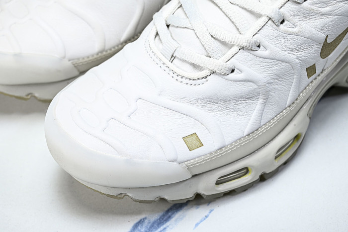 FD7855-002 AIR MAX PLUS PLATINUM TINT/LIGHT BONE/BLACK/STONE/LIGHT OREWOOD BROWN/WHITE