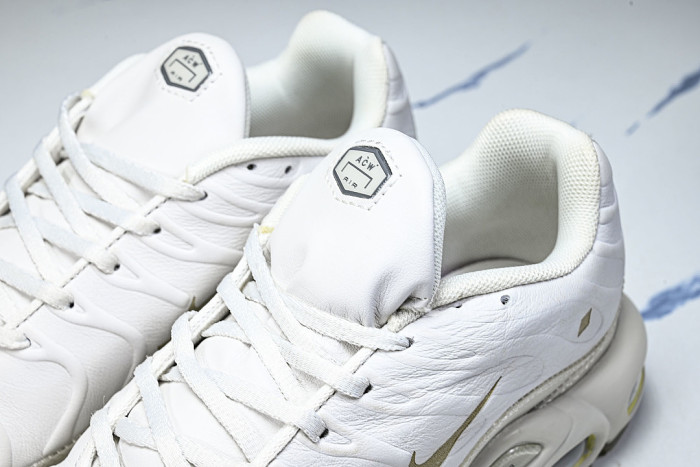 FD7855-002 AIR MAX PLUS PLATINUM TINT/LIGHT BONE/BLACK/STONE/LIGHT OREWOOD BROWN/WHITE