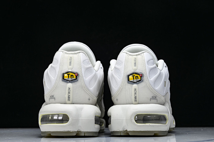 FD7855-002 AIR MAX PLUS PLATINUM TINT/LIGHT BONE/BLACK/STONE/LIGHT OREWOOD BROWN/WHITE