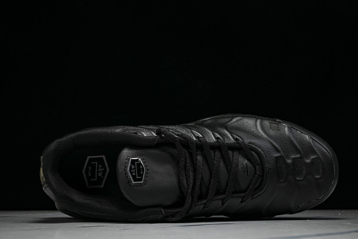 FD7855-001 AIR MAX PLUS BLACK/OFF NOIR/LIGHT IRON ORE/OBSIDIAN/COOL GREY/IRON GREY