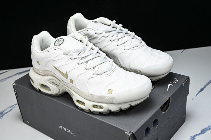 FD7855-002 AIR MAX PLUS PLATINUM TINT/LIGHT BONE/BLACK/STONE/LIGHT OREWOOD BROWN/WHITE