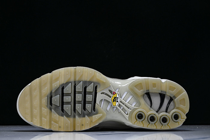 FD7855-002 AIR MAX PLUS PLATINUM TINT/LIGHT BONE/BLACK/STONE/LIGHT OREWOOD BROWN/WHITE