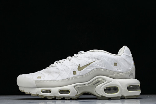 FD7855-002 AIR MAX PLUS PLATINUM TINT/LIGHT BONE/BLACK/STONE/LIGHT OREWOOD BROWN/WHITE