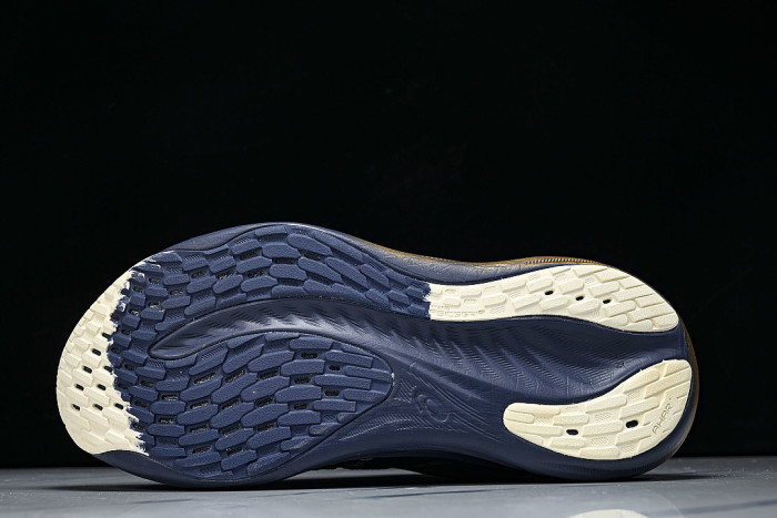 1011B946-400 GEL-NIMBUS 26 PLATINUM BLUE EXPANSE/CHAMPAGNE