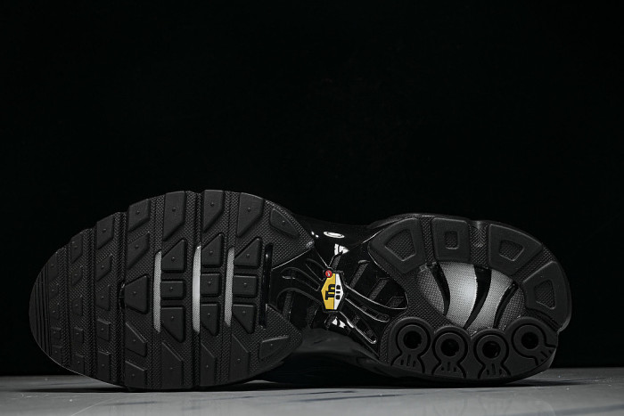 604133-050 AIR MAX PLUS BLACK/BLACK-BLACK