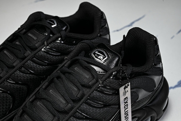 604133-050 AIR MAX PLUS BLACK/BLACK-BLACK