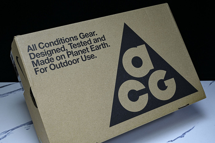IB7328-001 ACG MOUNTAIN FLY LOW GORE-TEX SE GREY/BROWN/WHITE