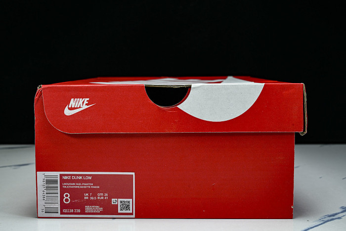 IQ1118-220 SB DUNK LOW CASUAL SNEAKERS GREY/BROWN