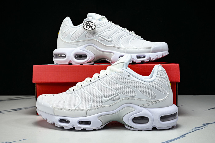 DM2362-100 AIR MAX PLUS WHITE/PURE PLATINUM/WHITE