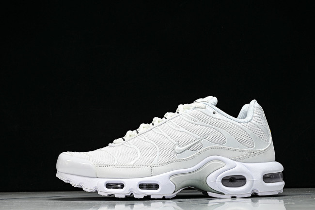 DM2362-100 AIR MAX PLUS WHITE/PURE PLATINUM/WHITE