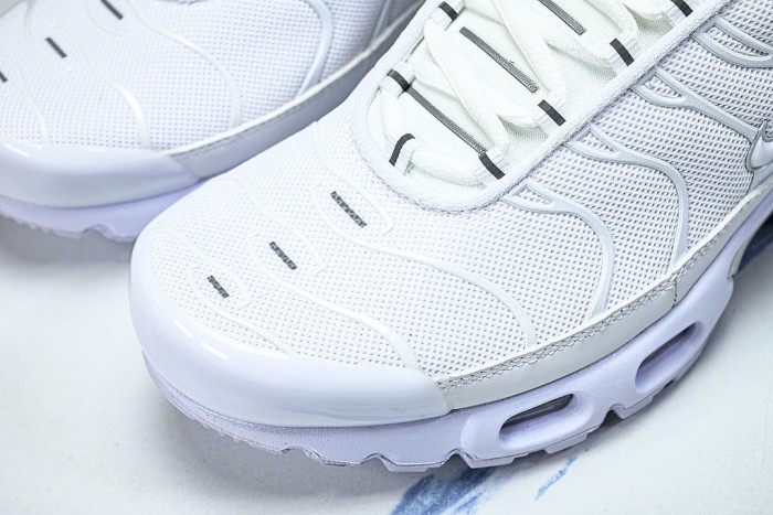 DM2362-100 AIR MAX PLUS WHITE/PURE PLATINUM/WHITE