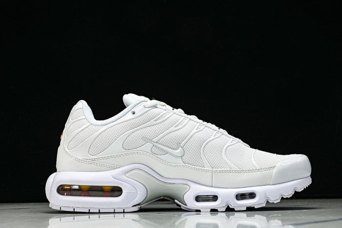 DM2362-100 AIR MAX PLUS WHITE/PURE PLATINUM/WHITE