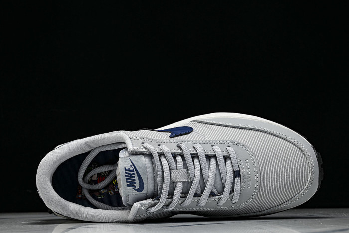IF2857-001 ACG LDV SOLE-BOOSTING RUNNING SHOES GREY/NAVY BLUE/GREY