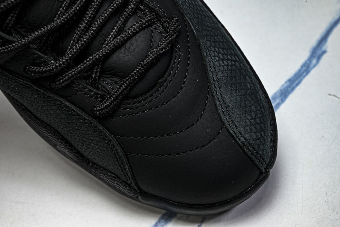 CT8013-003 AIR JORDAN 12 RETRO BLOODLINE AJ12 BLACK/RED