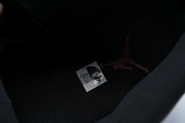 CT8013-003 AIR JORDAN 12 RETRO BLOODLINE AJ12 BLACK/RED