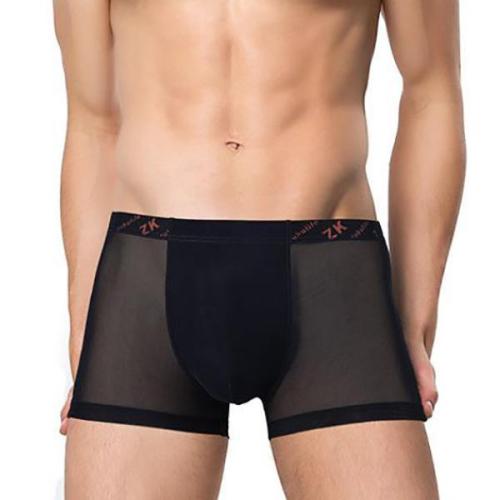 Breathable Sexy Large Size Mesh Men's Ice Silk Boxers