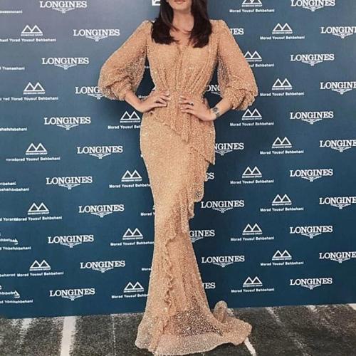 Elegant Sexy Deep V Long Sleeve Evening Dress