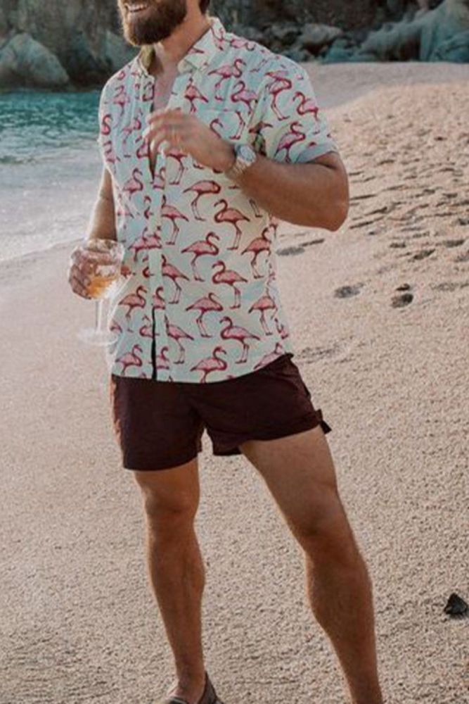 Hawaii casual print shirt beach cardigan short sleeve men