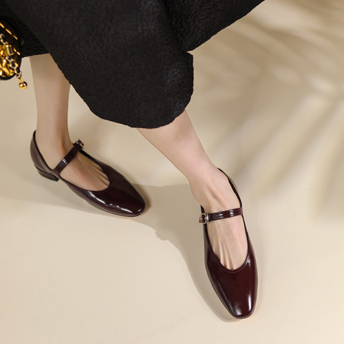 Women's Low Heel 2.5cm Vintage Style Elegant Buckle Women's Shoes