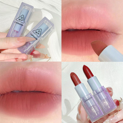 Lip Gloss Waterproof Long-Lasting Matte Mini Lipstick Clear Shell Easy To Carry 6 Color Non-stick Lip Glaze Lips Makeup cosmetic