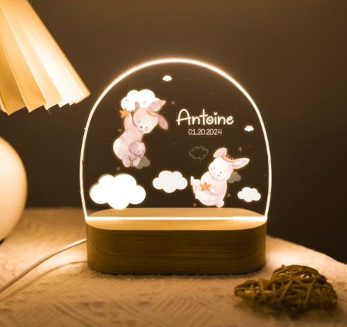 Personalized Floral Butterfly Name Night Light, Birthday Gift for Her, Bedroom Bedside Light, Cute Animal Night Lamp, Valentine's Day Gift