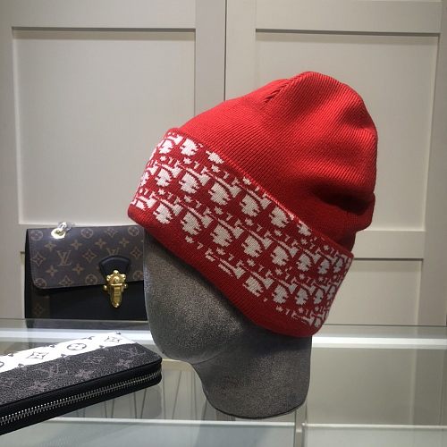 Dior Designer Warm Cap Wool Knit Hat 5 Colors