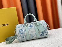 LV Handbag 1 color 13168110055