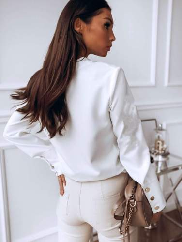Fashion Pure Stand collar Long sleeve Blouses