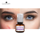 Low Moq Beauty Personal Care Vibrant Glamour Anti-Inflammatory Lavender Oem Organic Anti Aging Face Serum