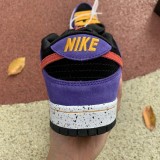 Authentic Nike SB Dunk Low “ACG”