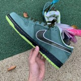Authentic Nike Dunk SB Concepts Green Lobster