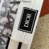 Dior B23 Low Top Logo Oblique
