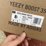 Yeezy Boost 350 V2 Pure Oat