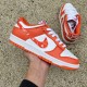 Nike Dunk Low Essential Paisley Pack Orange