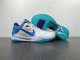 Nike Kobe 5 Protro Shoes