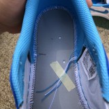 Jordan 1 Low SB UNC