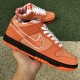 Concepts x  Nike SB Dunk Low  Purple Lobster