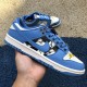 Nike SB Dunk Low Shoes
