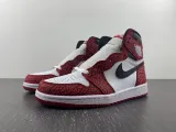 Air Jordan 1 High OG Shoes
