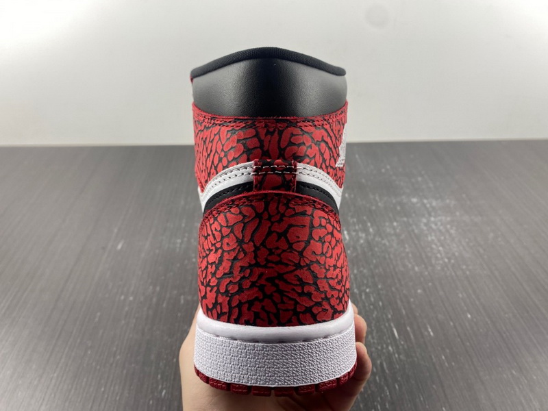 Air Jordan 1 High OG Shoes