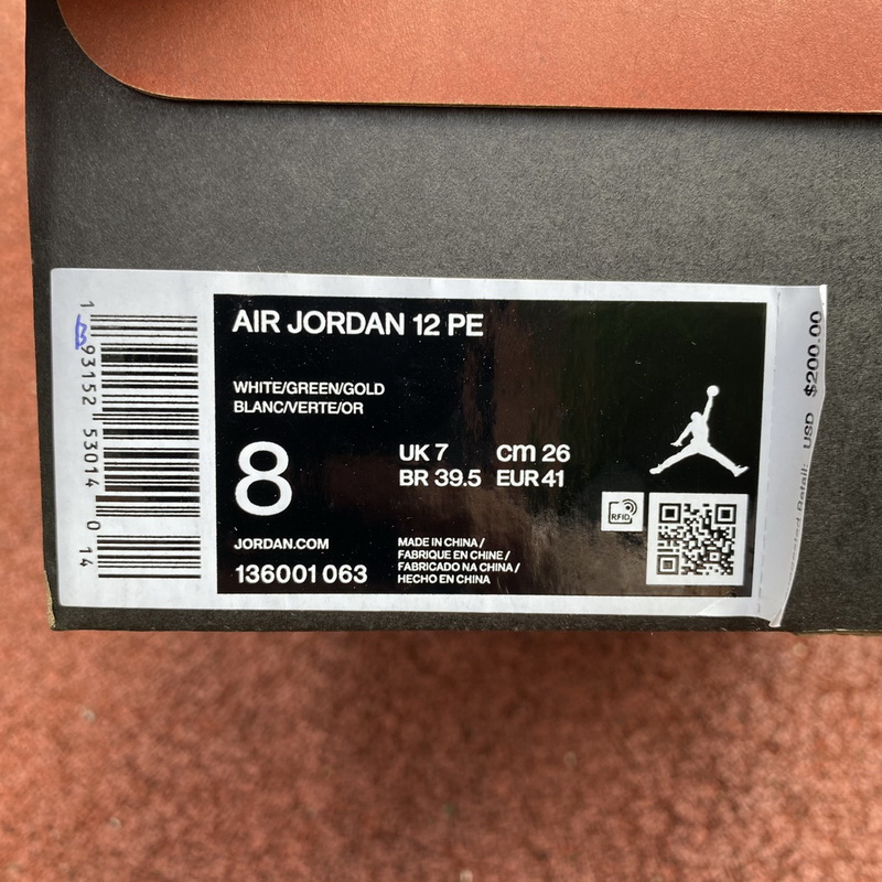 Air Jordan 12 Shoes